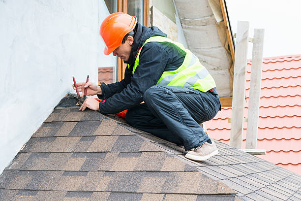 Best Storm Damage Roof Repair  in Waterloo, IL